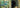 Sneak Peek at Adoration of the Shepherds