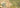 Sneak Peek at New Dragon Boat Festival Puzzle
