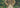 Quiz: Test Your Knowledge of Impressionist Art