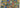 Quiz: Guess the Expressionist Artist
