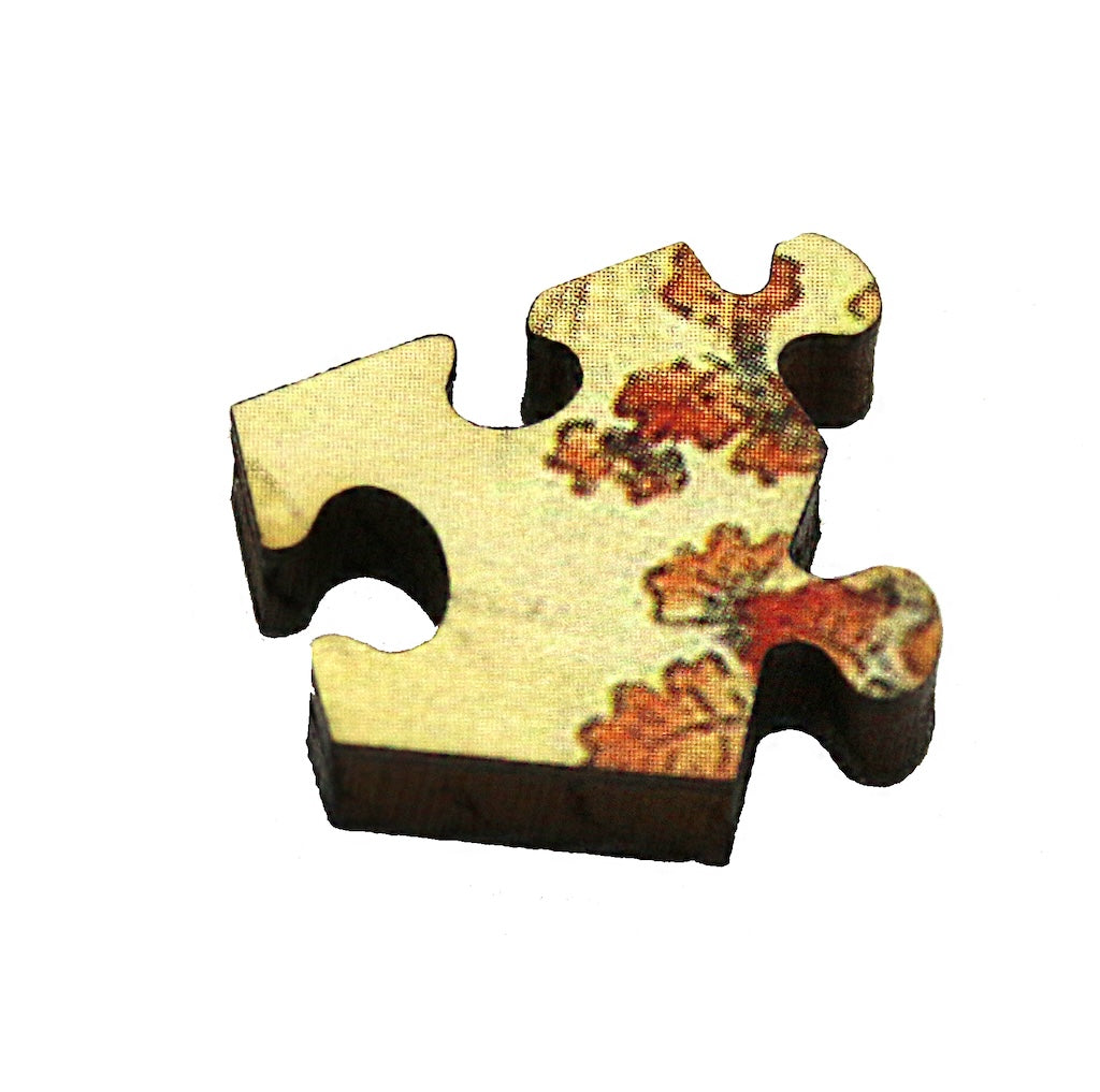 Ecru Puzzles - Mystery Puzzle #26 Wooden Jigsaw Puzzle