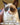 Grumpy cat meme