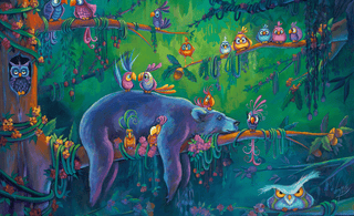 What Will You Find In The Jungle?