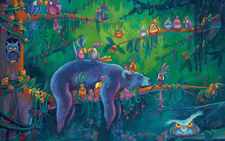 What Will You Find In The Jungle?