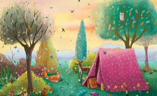 Freedom Camping: Can You Beat This 6 Yr Old?