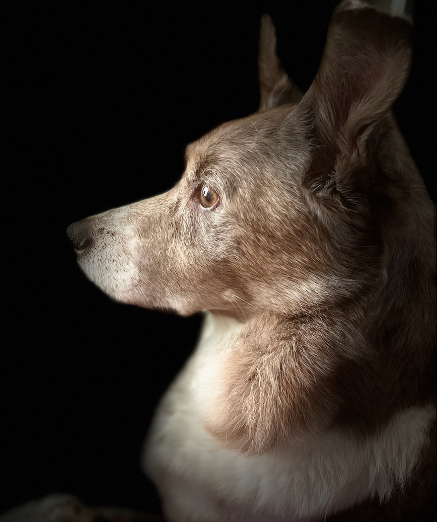 Another One Bites the Dust...