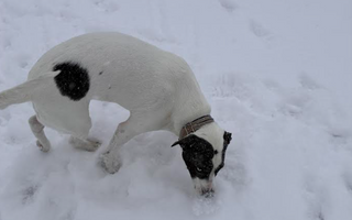 An Unexpected Puzzle Snack