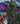Quiz: Guess the Abstract Artist