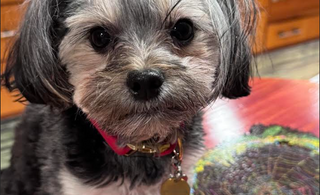 Moving To Higher Ground