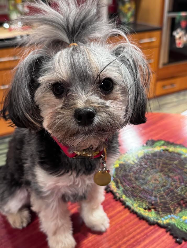 Moving To Higher Ground