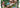Newest Irregular Edges Revealed!