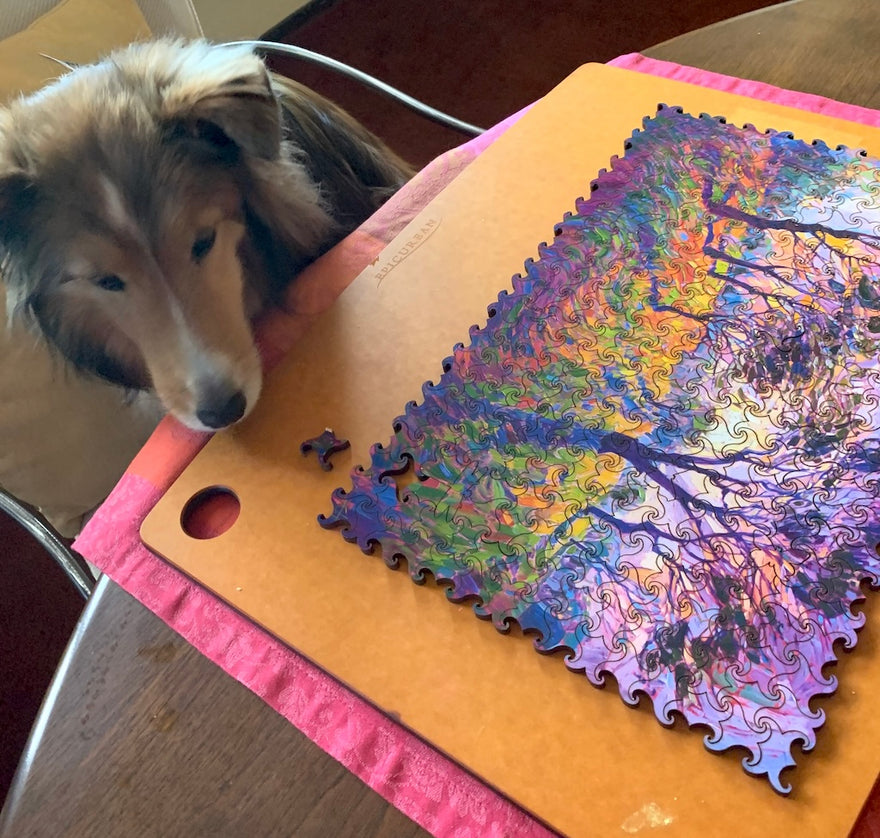 Hollie just wanted to help