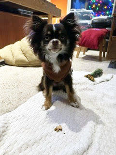 The First Casualty of 2024