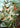 Artifact Puzzles - Haeckel Hummingbirds Wooden Jigsaw Puzzle