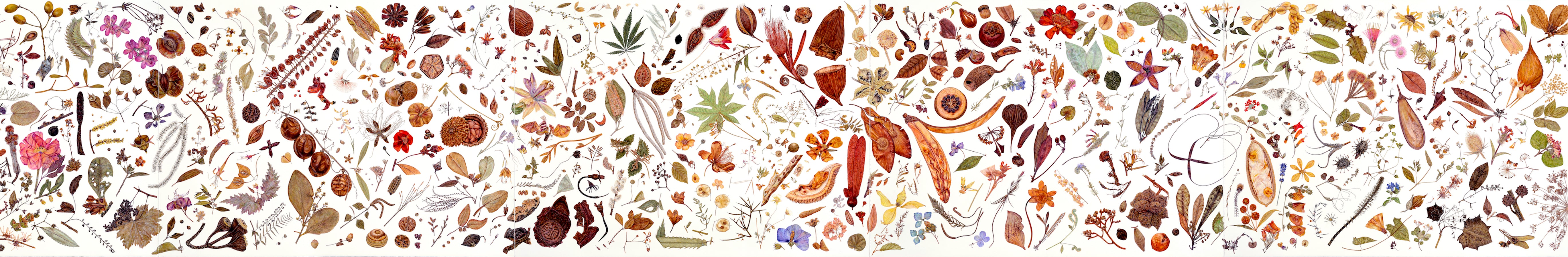 Artifact Puzzles - Rachel Pedder-Smith Herbarium Wooden Jigsaw Puzzle