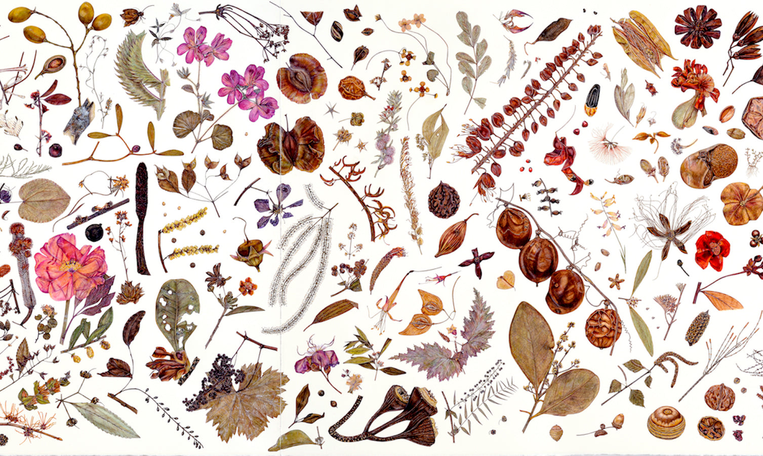 Artifact Puzzles - Rachel Pedder-Smith Herbarium Wooden Jigsaw Puzzle