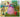 Ecru Puzzles - Victor Nizovtsev In Search Of A Prince Wooden Jigsaw Puzzle