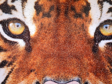 Mr Gogo Puzzles - Ultra Tiger Hand-cut Wooden Jigsaw Puzzle