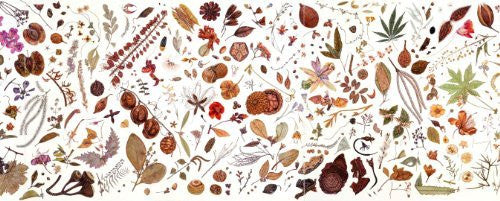 Artifact Puzzles - Rachel Pedder-Smith Herbarium Wooden Jigsaw Puzzle