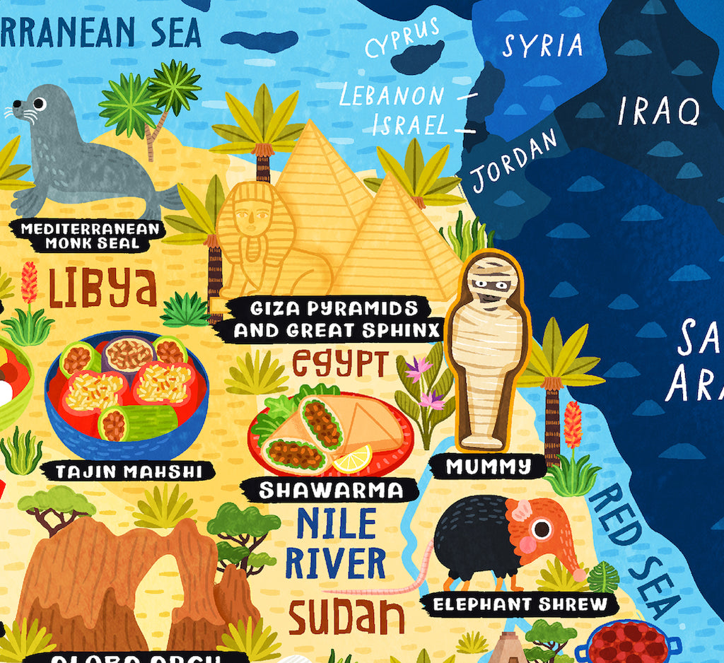 Artifact Puzzles - Liv Wan Africa Map