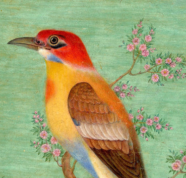 Ecru Puzzles - Bee Eater Wooden Jigsaw Puzzle