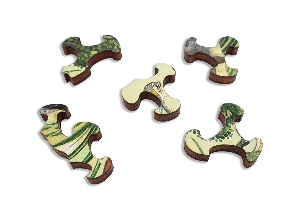 Artifact Puzzles - Birds at Baran Wooden Jigsaw Puzzle