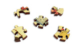 Artifact Puzzles - Kessel Bugs Double-Sided Wooden Jigsaw Puzzle