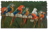 Artifact Puzzles - Alceste Campriani Pappagalli Wooden Jigsaw Puzzle