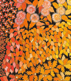 Artifact Puzzles - Sandi Rigby Botanical Dreaming Wooden Jigsaw Puzzle